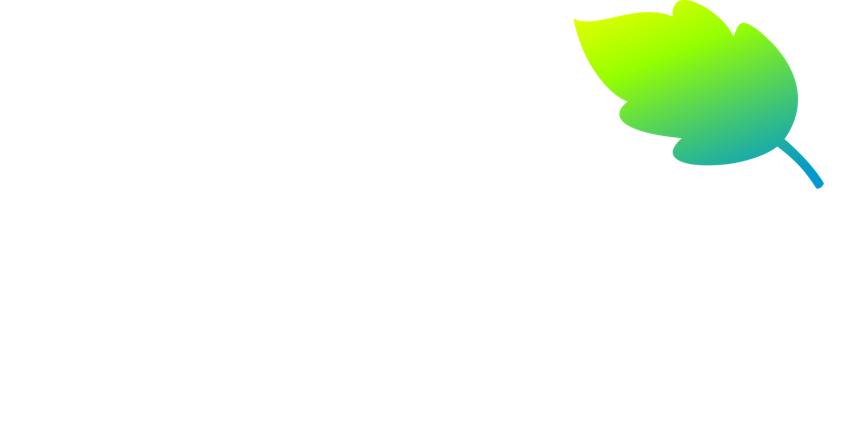 Menta Producciones